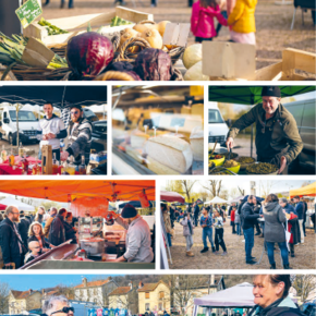 Photos des différents marchés du Bassin de Pompey