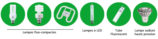 Lampes fulo-compactes, Lampes à LED, Tube fluorescent, Lampe sodium haute pression