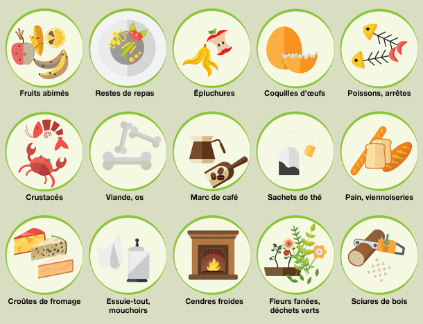 Restes de fruits et légumes crus ou cuits, restes de repas (riz, pâtes, viande, fromage), coquilles d’oeuf, marcs de café, thé, tisanes, essuie-tout. Et pour compléter mon bac : feuilles, tailles de haies, déchets du potager, tonte de gazon, fleurs, écorces, sciures de bois, cendres froides.