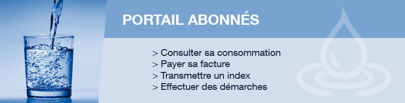 Accès portail abonnés